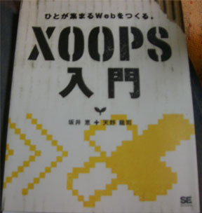 �ʔ����ł��B